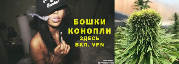 прущие крисы Инсар