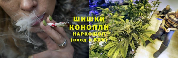 прущие крисы Инсар
