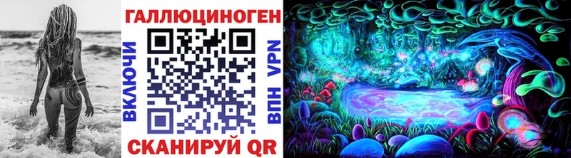 Купить  Черногорск  Псилоцибиновые грибы Psilocybine cubensis 